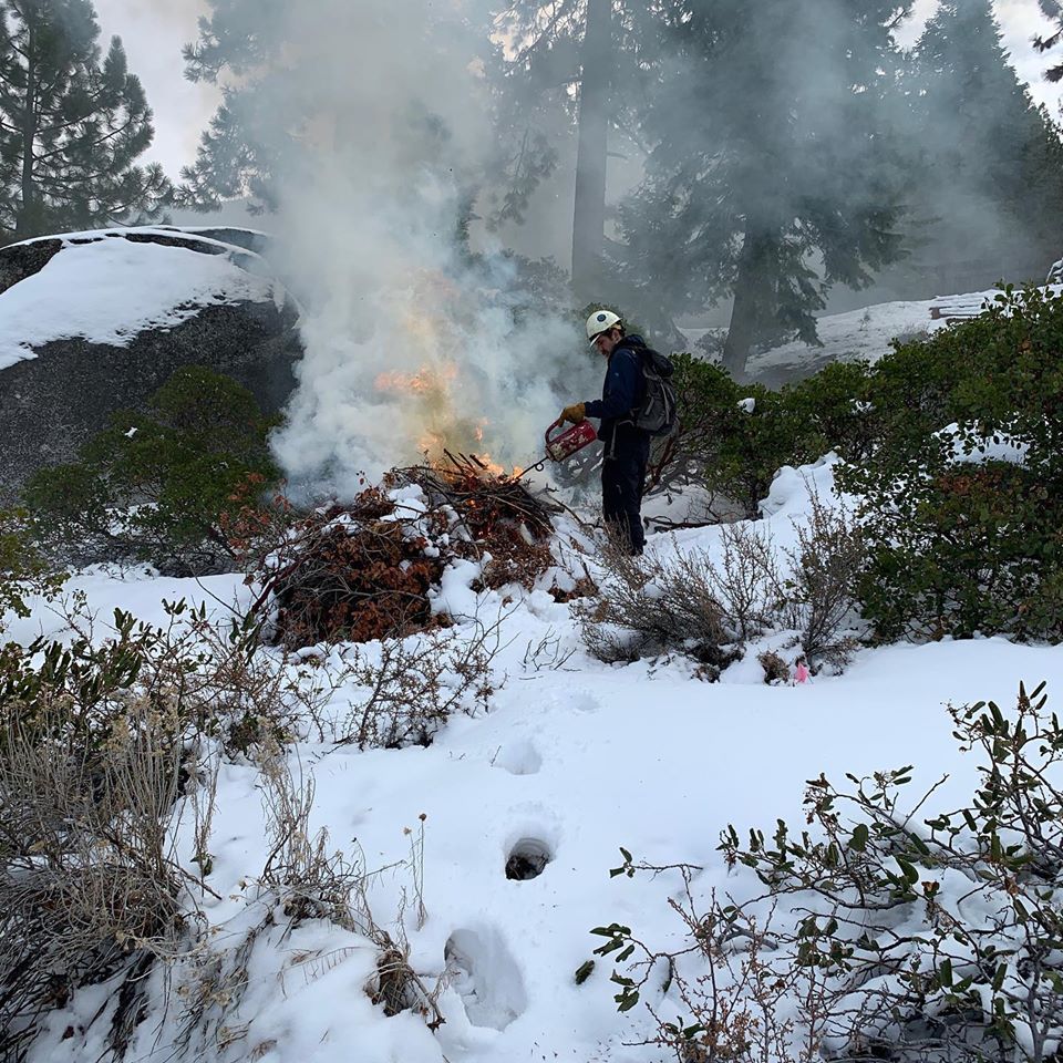 Pile Burning Pic