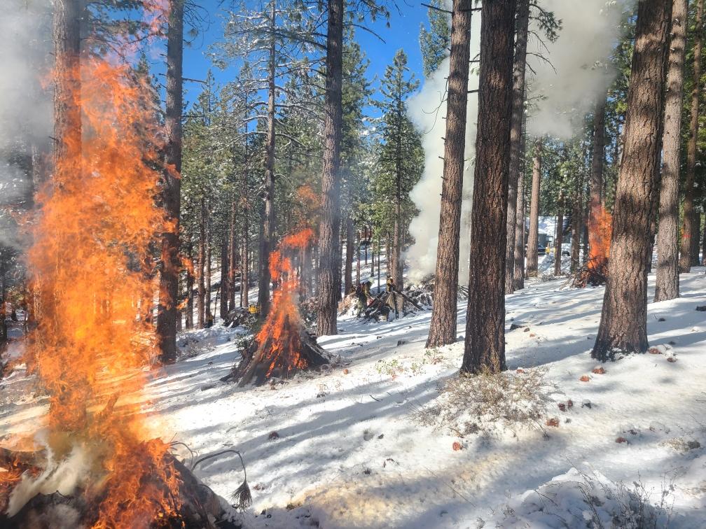 Smoke rises from burning piles during recent prescribed fire operations off Columbine Trail near South Lake Tahoe USDA Forest Se
